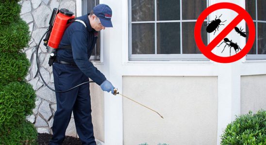 Çilimli Hamam Böceği İlaçlama böcek ilaçlama ve haşere kontrolü — ilaclama-tr.com